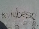 te iubesc