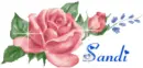 sandi