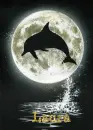 Laura Dolphin
