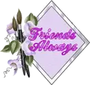 Friends Always - Purpelbell frame