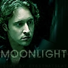 moonlight