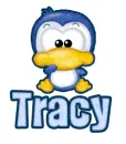 penguin tracy