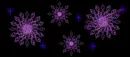 Purple snowflake XD