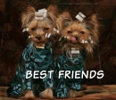 yorkie friends