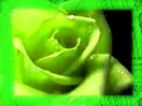green flower