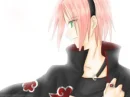 Sakura no Akatsuki