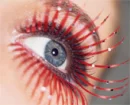 eyes