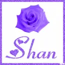 Purple Rose with the name Shan