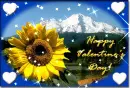 valentines day