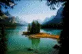jasper national park 