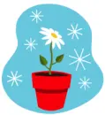 Daisy