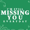 I'm Still Missing you 
