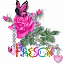 Prescy - Diamond Pink Rose