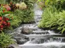 water fall