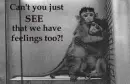 animals discrimination 