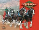 bud2