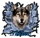 Mike Wolf