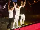 jonas luv is true luv