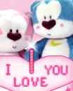 love bears