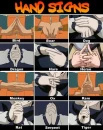naruto hand singes