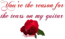 You're The Reason for the Tears on My Guitar