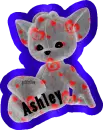 kitty