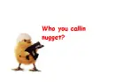 chicken maddnes