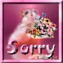 Sorry