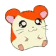 Hamtaro