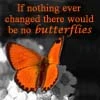butterfly