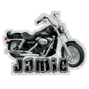 jamie w/harley davison