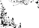 Vine of butterfly