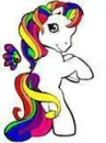 pony