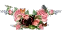 Butterflies and Roses