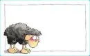 Sad Black Sheep