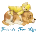 Friends for life
