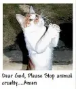 Dear Dood, pleas stop....