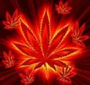 joint