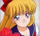 sailor venus