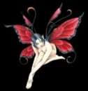 Fairy