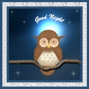 Good night