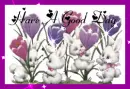 have a good day bunnies