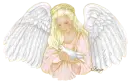 Glitter Angel Dove