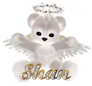 Shan Angel Teddy