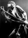 steven tyler
