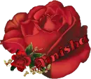 Amisha Rose