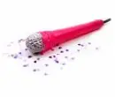 Pink microphone