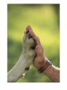 ~Companionship!~