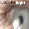 Look to the Light