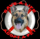 ~Save a Life!~